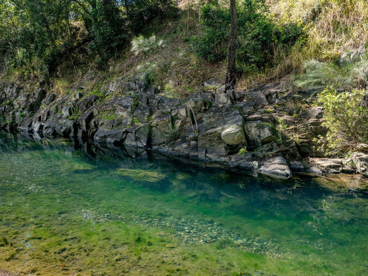 994 Laceys Creek Road, Laceys Creek - Thumbnail 7