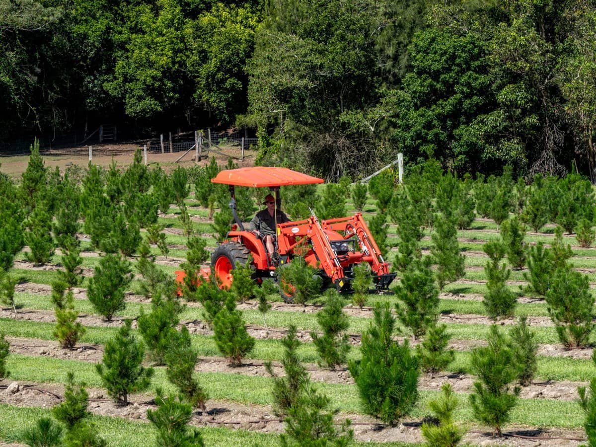 994 Laceys Creek Road, Laceys Creek - Thumbnail 26