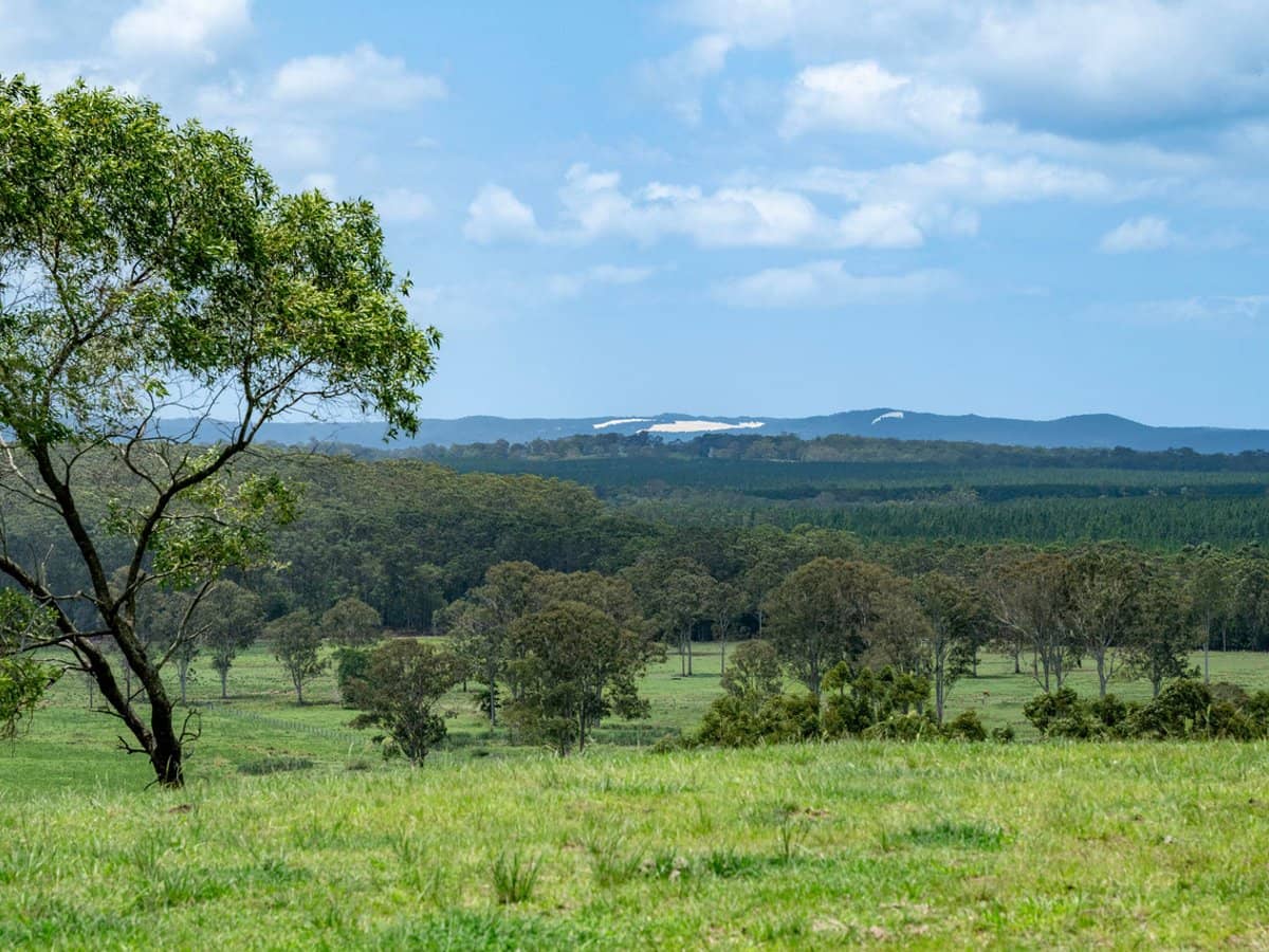 239 Parsons Road, Coondoo - Thumbnail 2