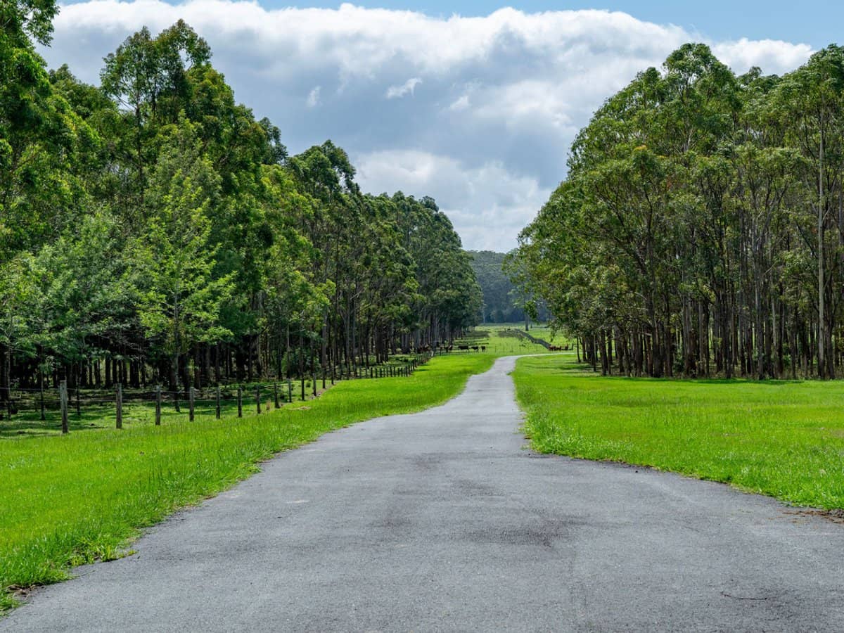 239 Parsons Road, Coondoo - Thumbnail 10