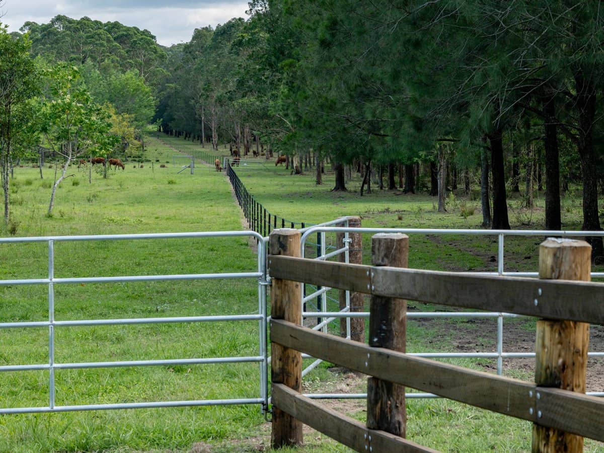 239 Parsons Road, Coondoo - Thumbnail 12