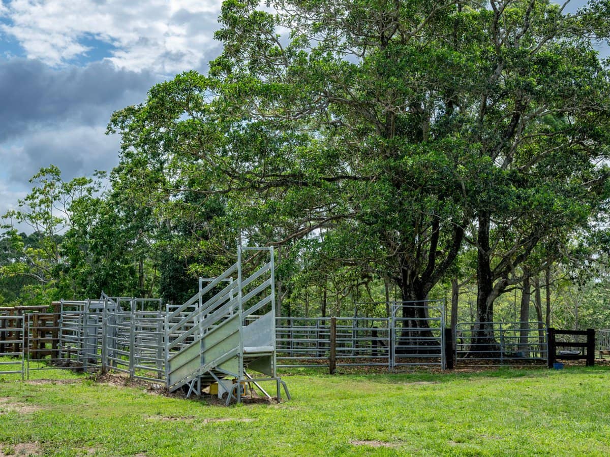 239 Parsons Road, Coondoo - Thumbnail 17