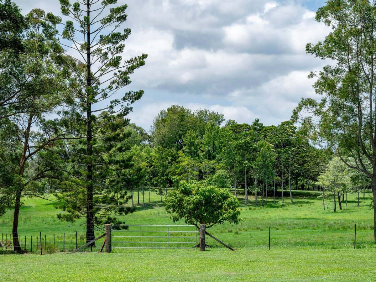 239 Parsons Road, Coondoo - Thumbnail 18