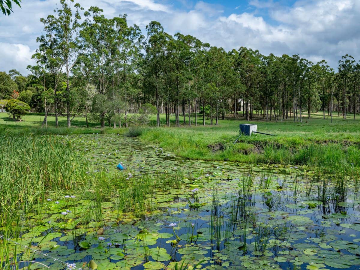 239 Parsons Road, Coondoo - Thumbnail 20