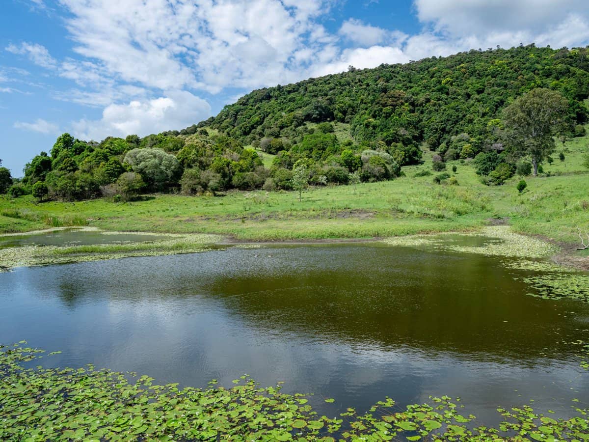 239 Parsons Road, Coondoo - Thumbnail 21