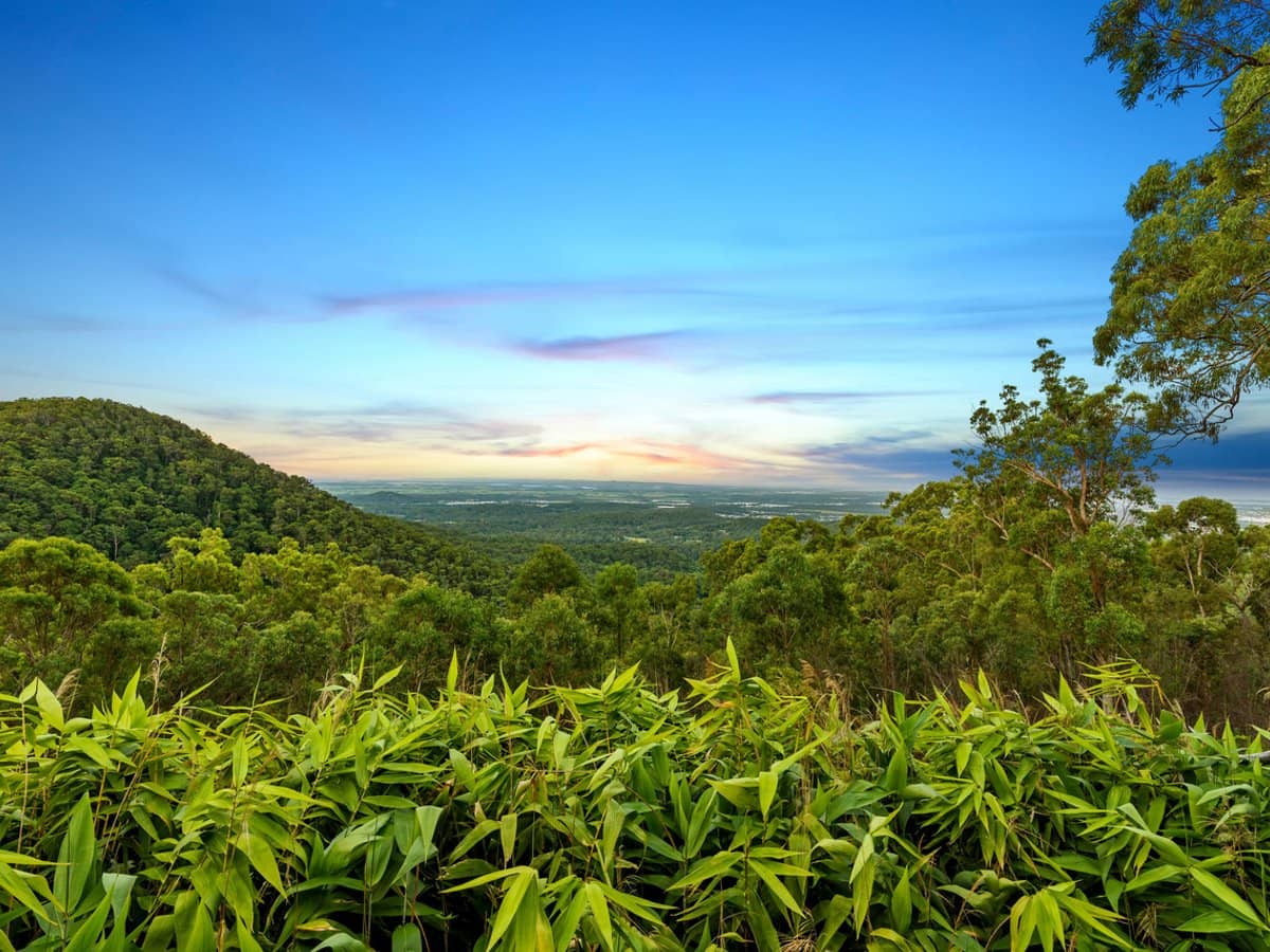 336 Wongawallan Drive, Wongawallan - Thumbnail 9