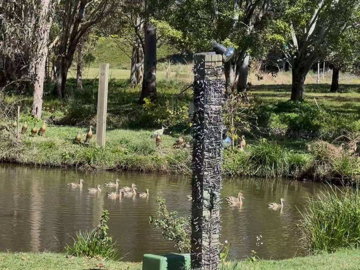 28 Atlantic Drive, LOGANHOLME - Thumbnail 22