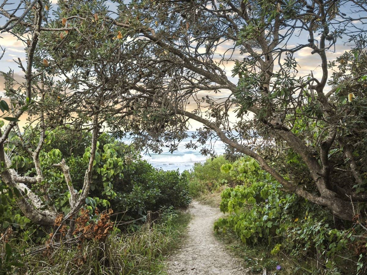 1 Murphys Road, Kingscliff - Thumbnail 1