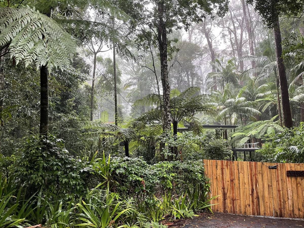 5 Mundora Road, Springbrook - Thumbnail 1