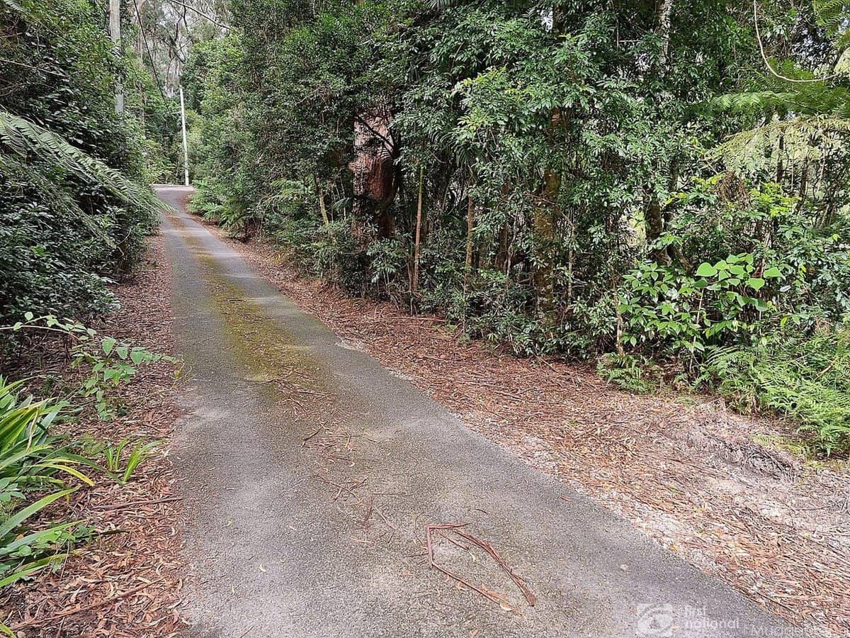 5 Mundora Road, Springbrook - Thumbnail 3