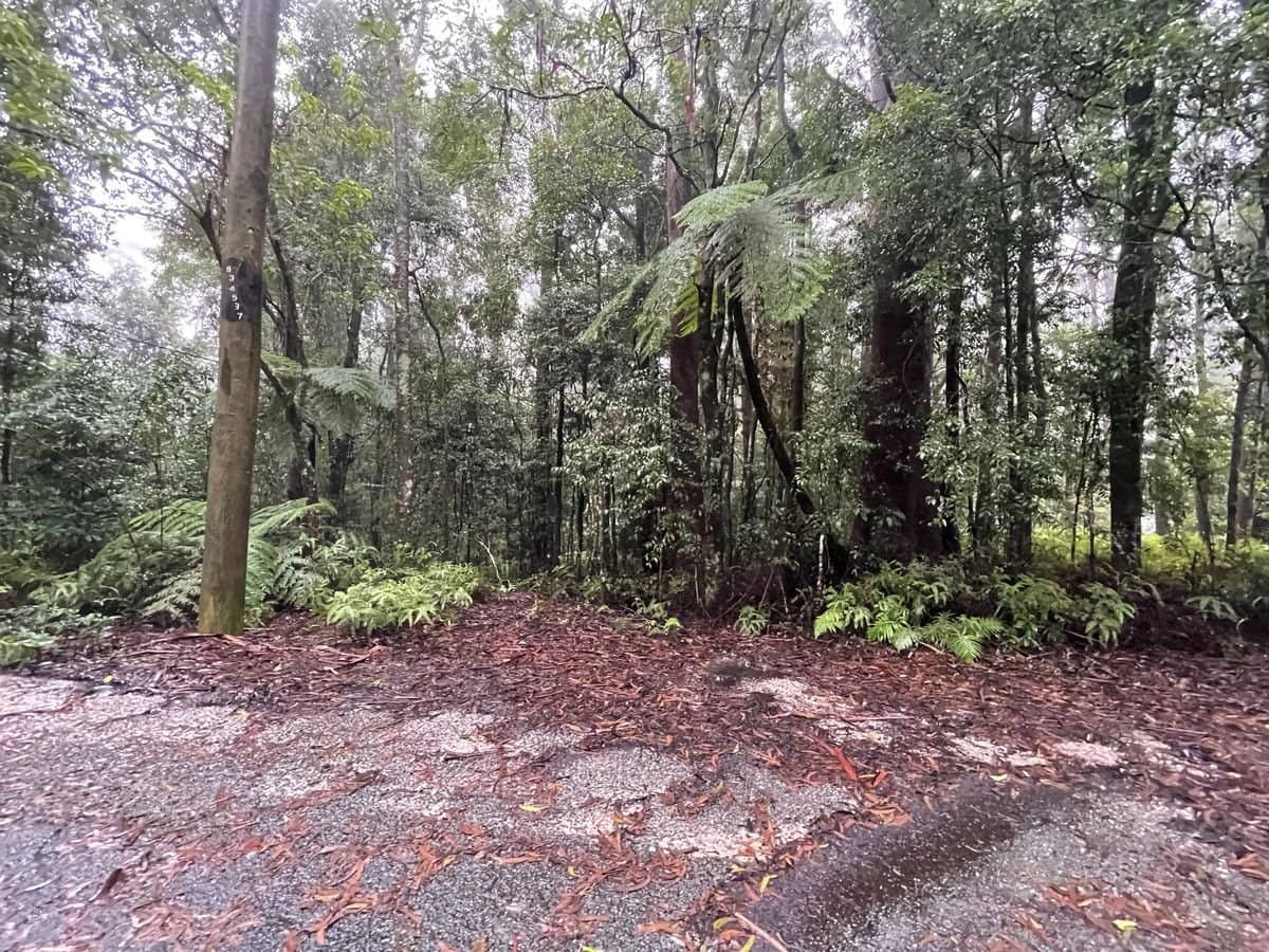 5 Mundora Road, Springbrook - Thumbnail 4