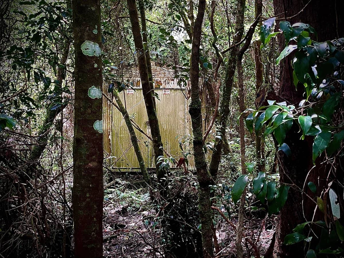 5 Mundora Road, Springbrook - Thumbnail 7