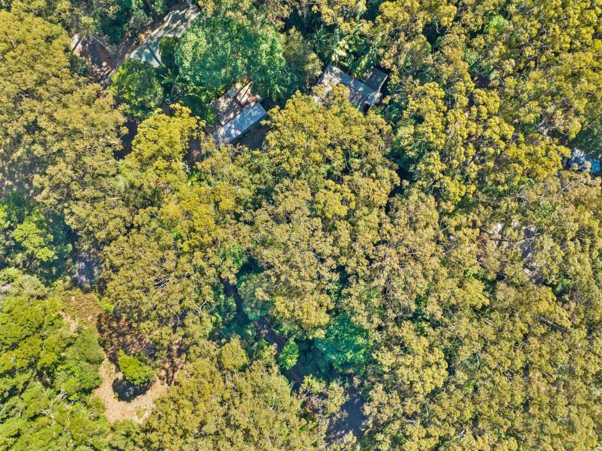 5 Mundora Road, Springbrook - Thumbnail 9