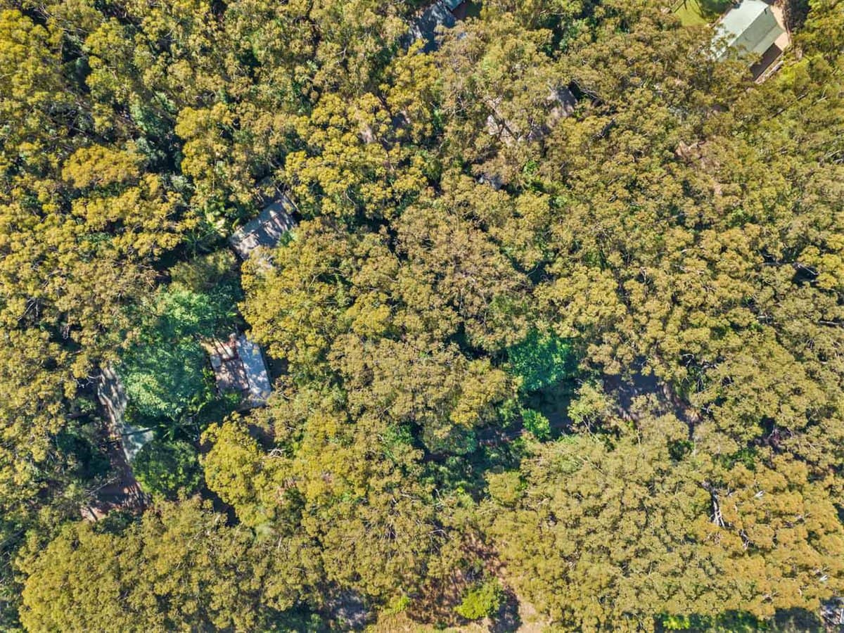 5 Mundora Road, Springbrook - Thumbnail 10