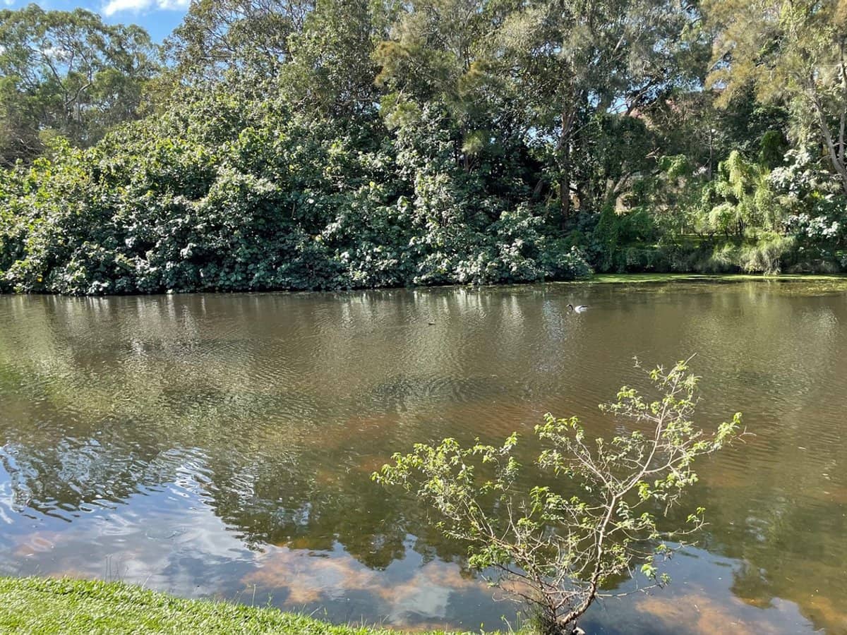 16/543 Gold Coast Highway, Tugun - Thumbnail 29