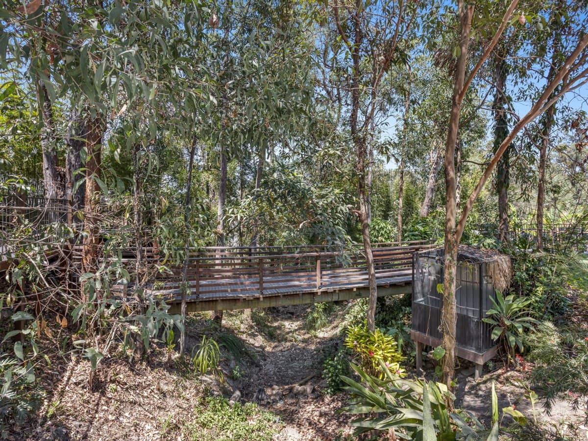 30 Bass Court, Oxenford - Thumbnail 13