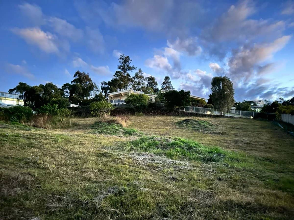 4 Laceflower Court, Reedy Creek - Thumbnail 8