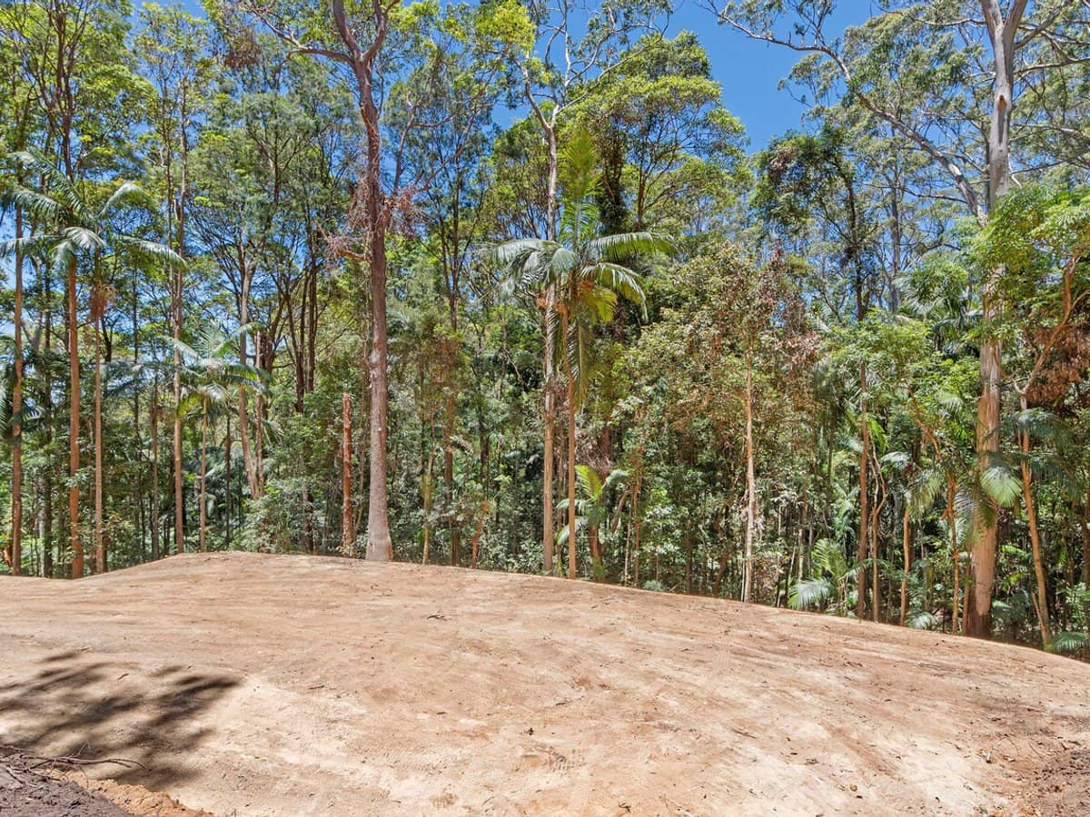127 Wongawallan Road, TAMBORINE MOUNTAIN - Thumbnail 6