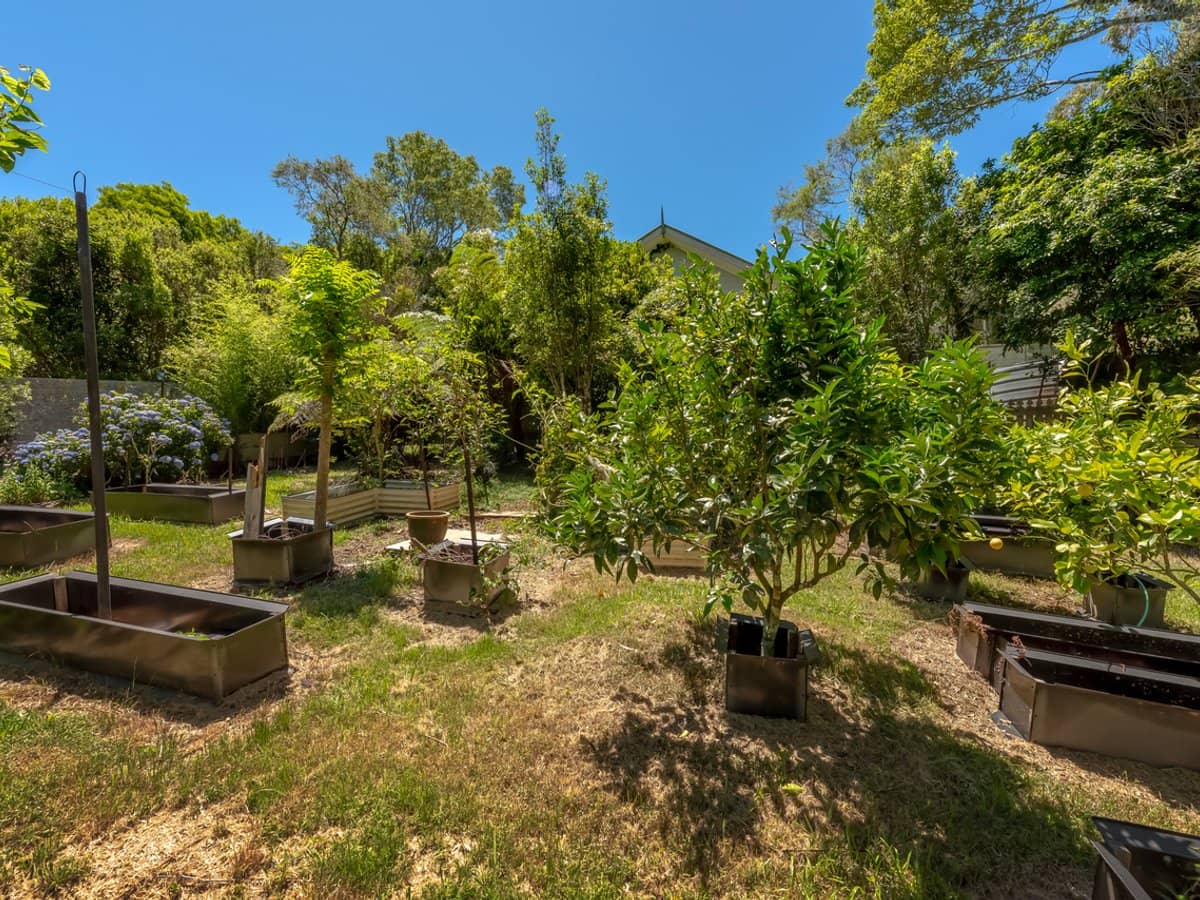 15 Bandicoot Lane, SPRINGBROOK - Thumbnail 6