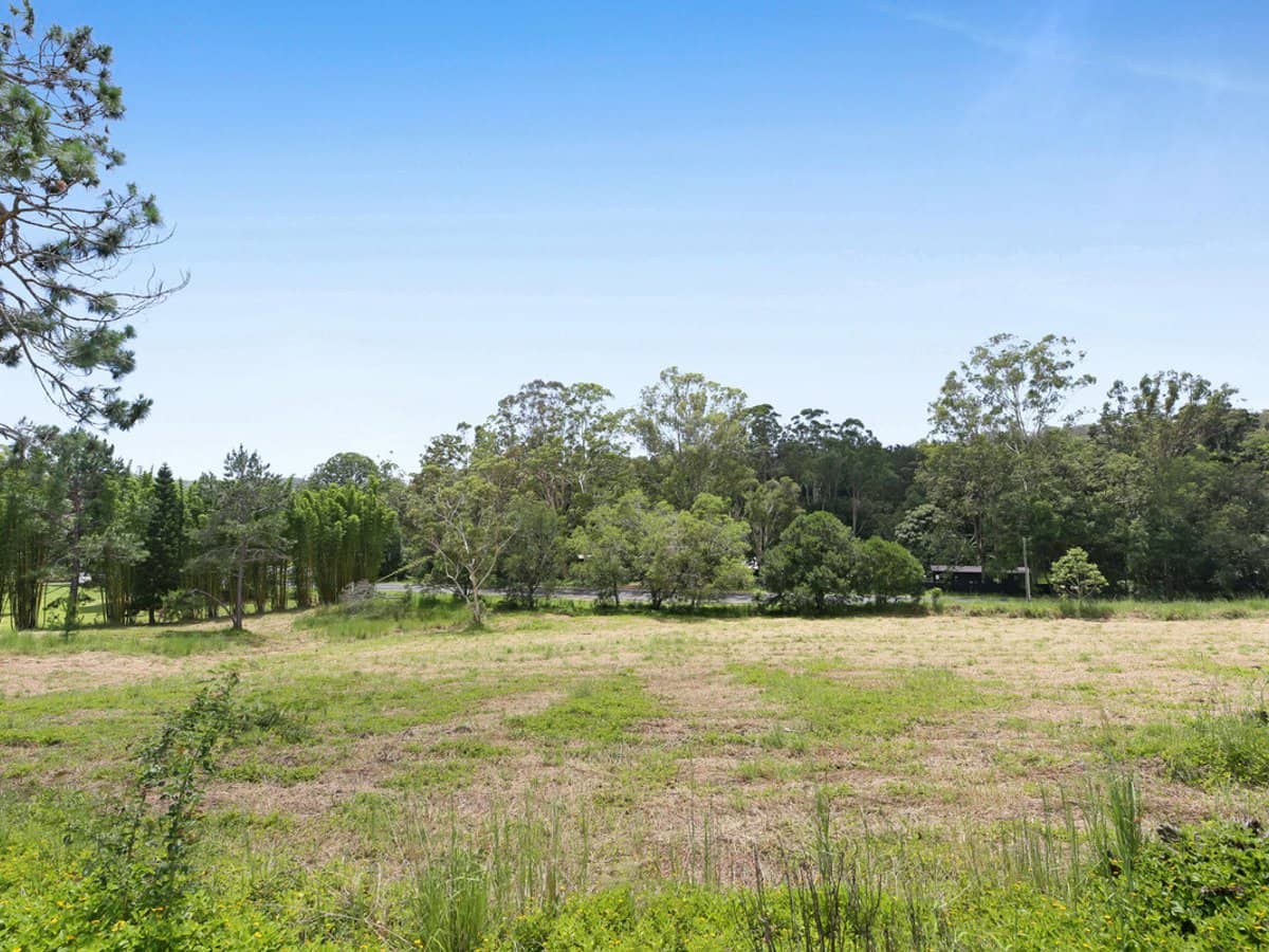 572 Tallebudgera Creek Road, TALLEBUDGERA VALLEY - Thumbnail 3