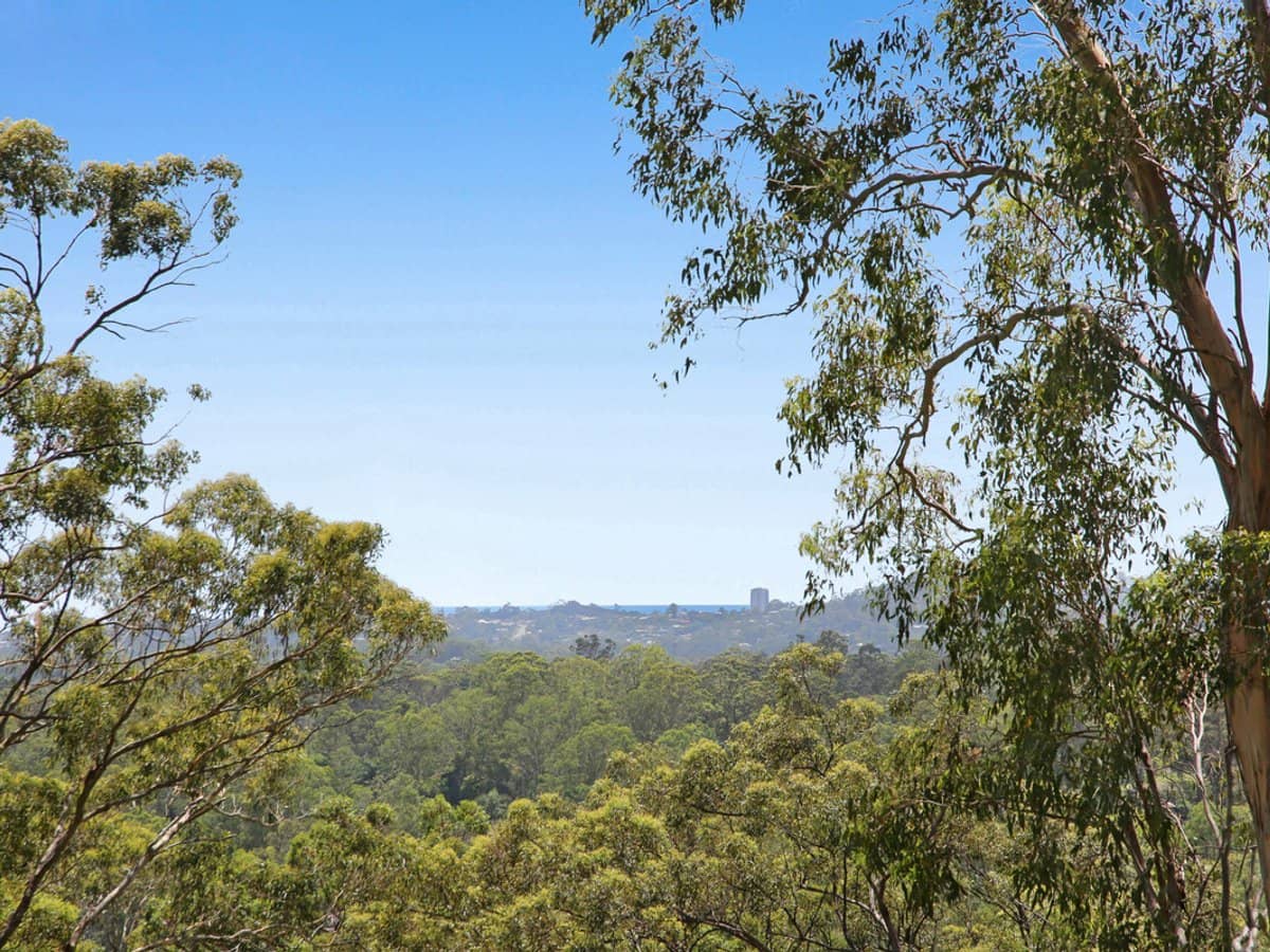 572 Tallebudgera Creek Road, TALLEBUDGERA VALLEY - Thumbnail 9