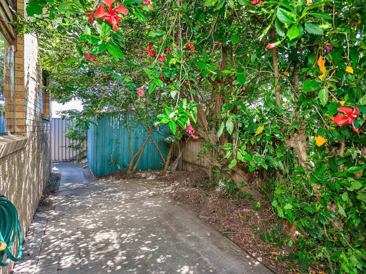 23 Walnut Street, ELANORA - Thumbnail 22