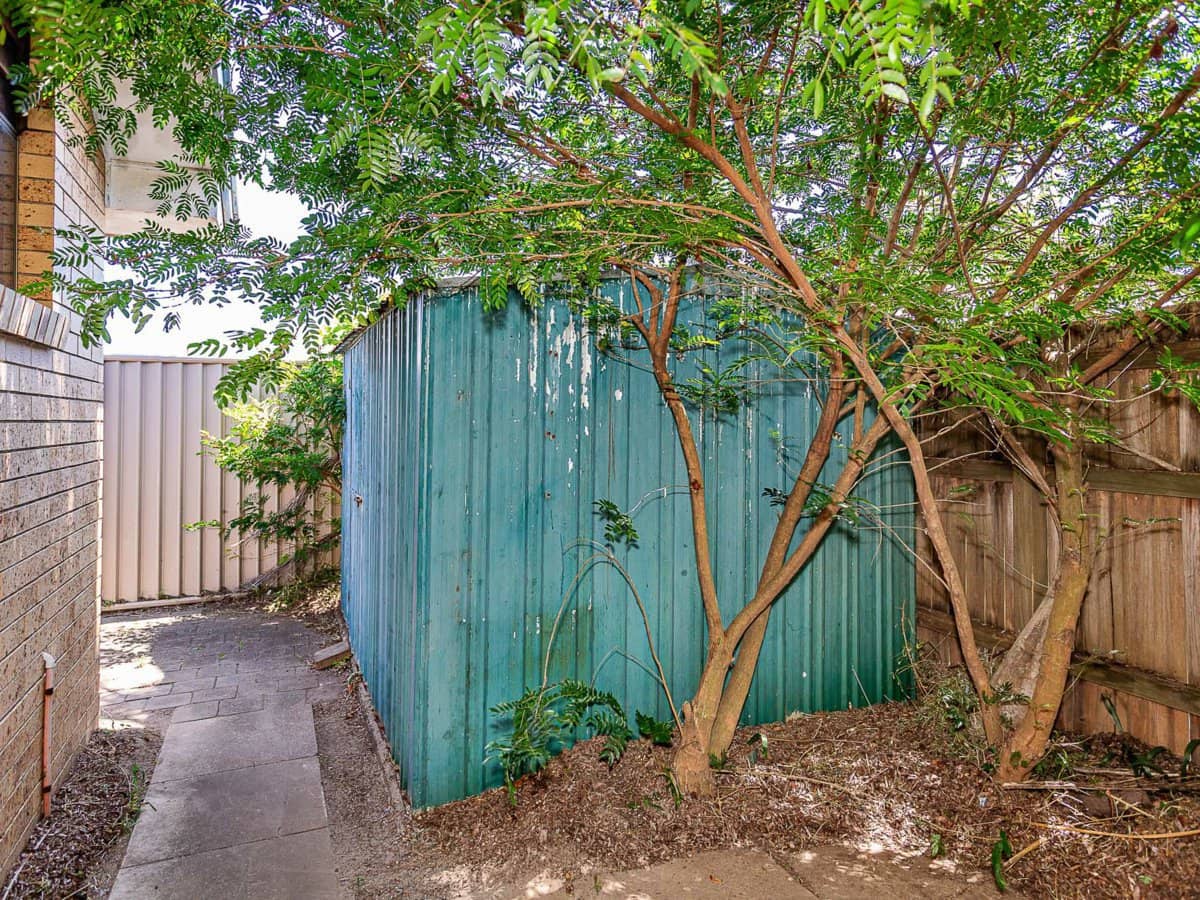 23 Walnut Street, ELANORA - Thumbnail 23