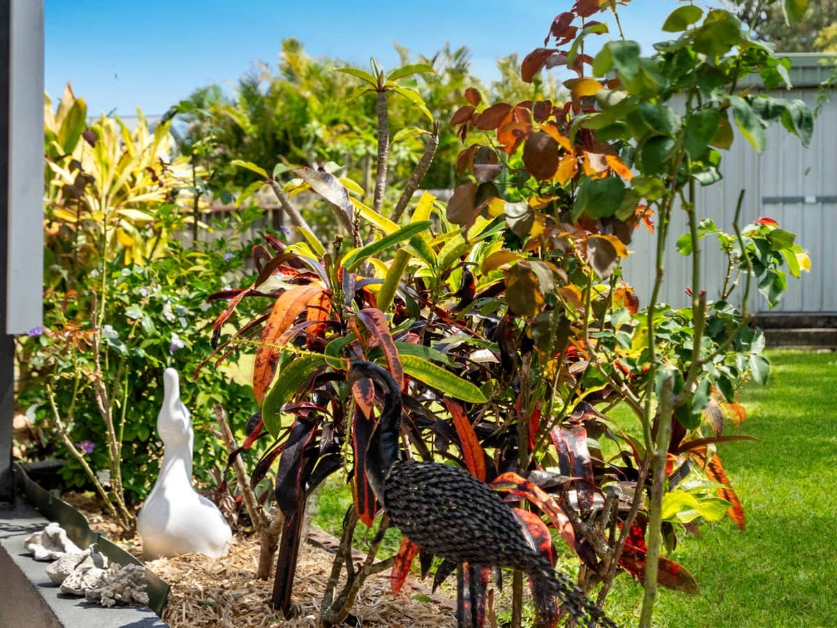 5 Nussey Court, MOUNT WARREN PARK - Thumbnail 16