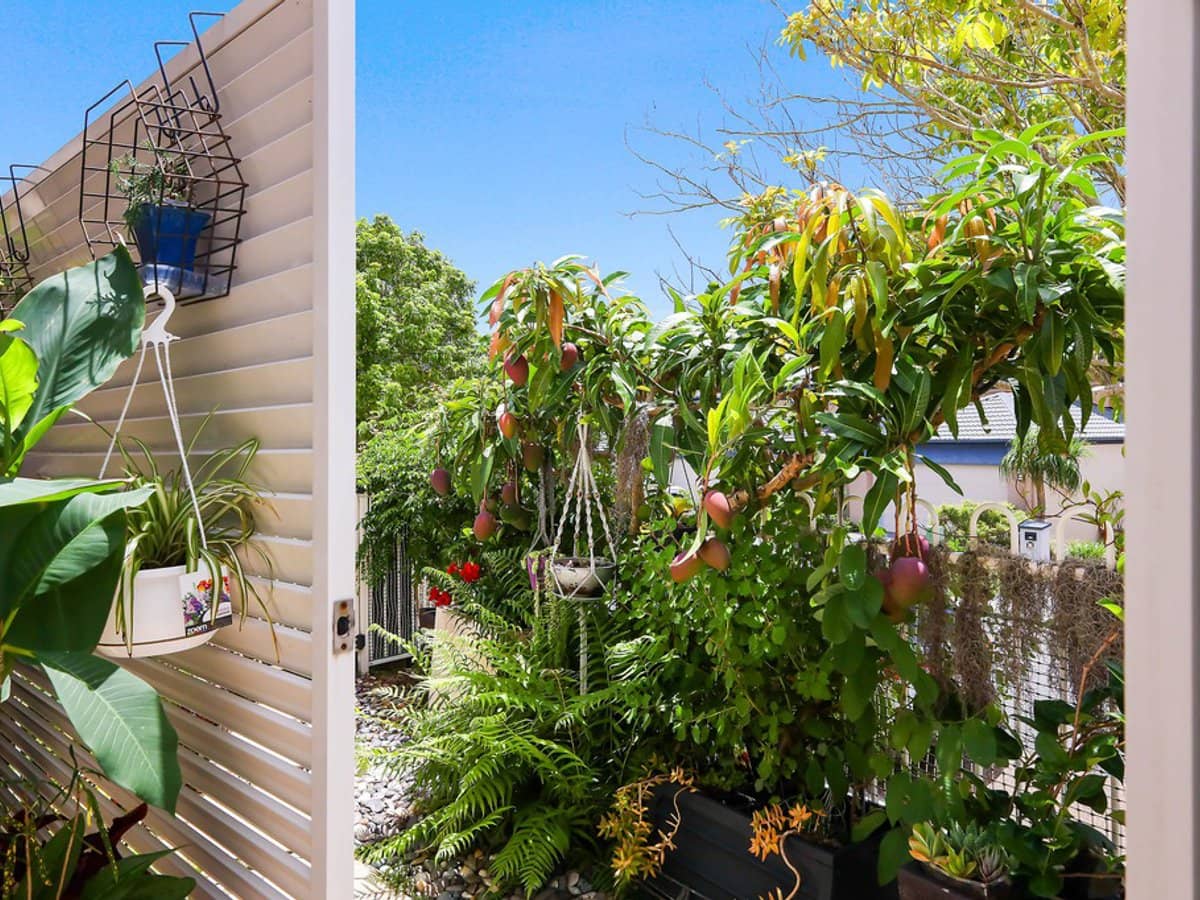 12 Promenade Avenue, ROBINA - Thumbnail 9