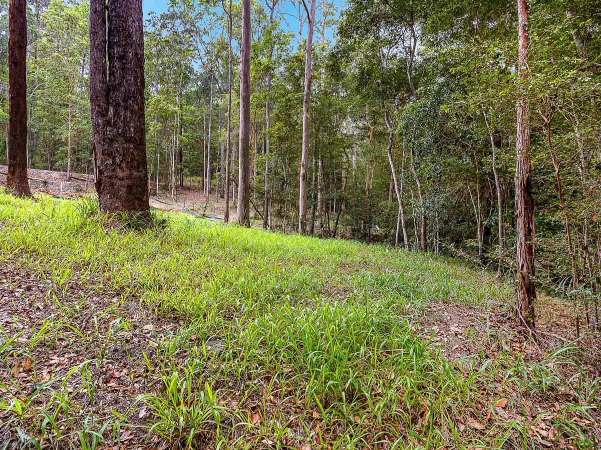 13 Dunbar Road, BONOGIN - Thumbnail 18