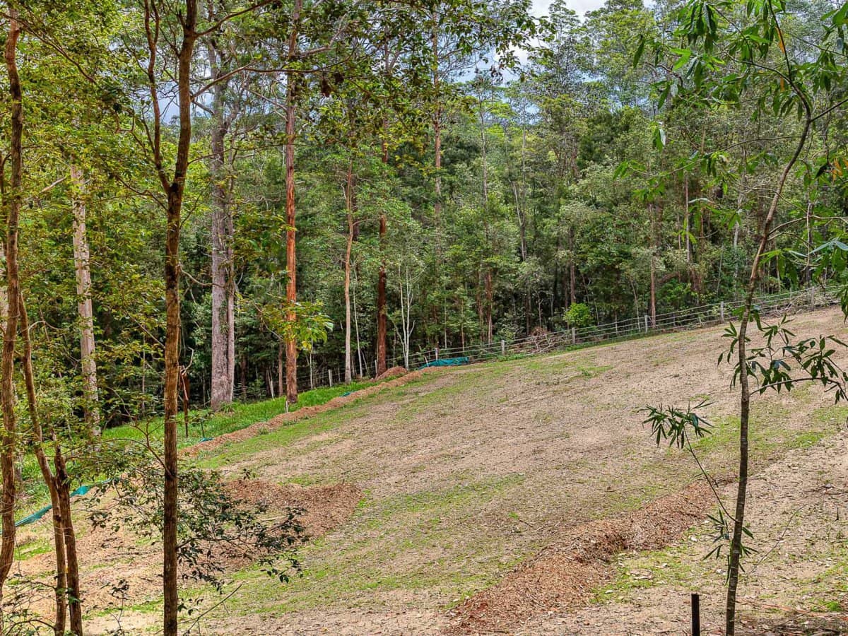 13 Dunbar Road, BONOGIN - Thumbnail 11