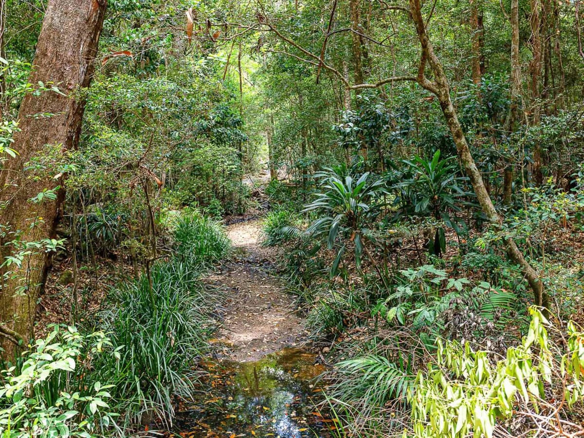 13 Dunbar Road, BONOGIN - Thumbnail 16