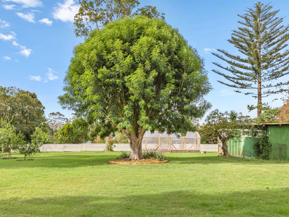 58 Lahey Road, Tamborine Mountain - Thumbnail 24