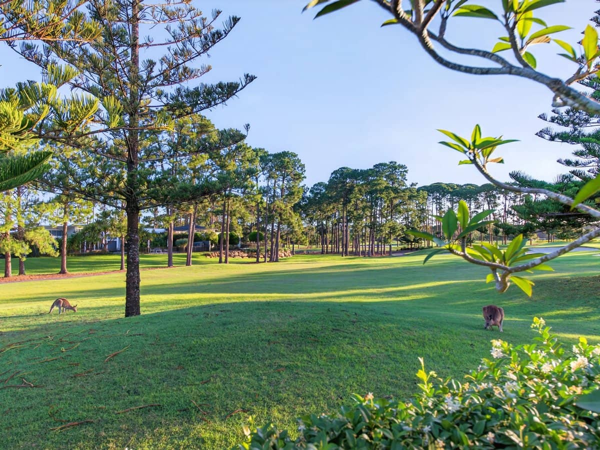 2208 The Parkway, Sanctuary Cove - Thumbnail 11