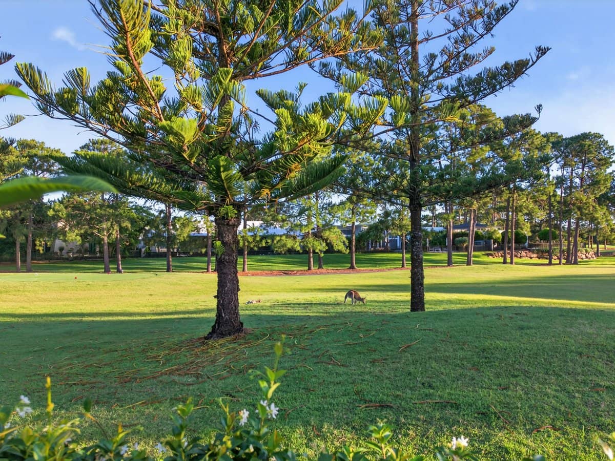 2208 The Parkway, Sanctuary Cove - Thumbnail 3