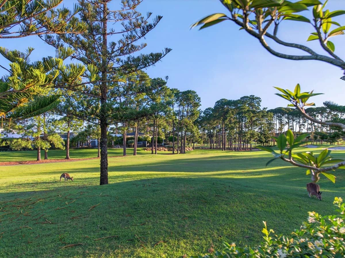 2208 The Parkway, Sanctuary Cove - Thumbnail 17