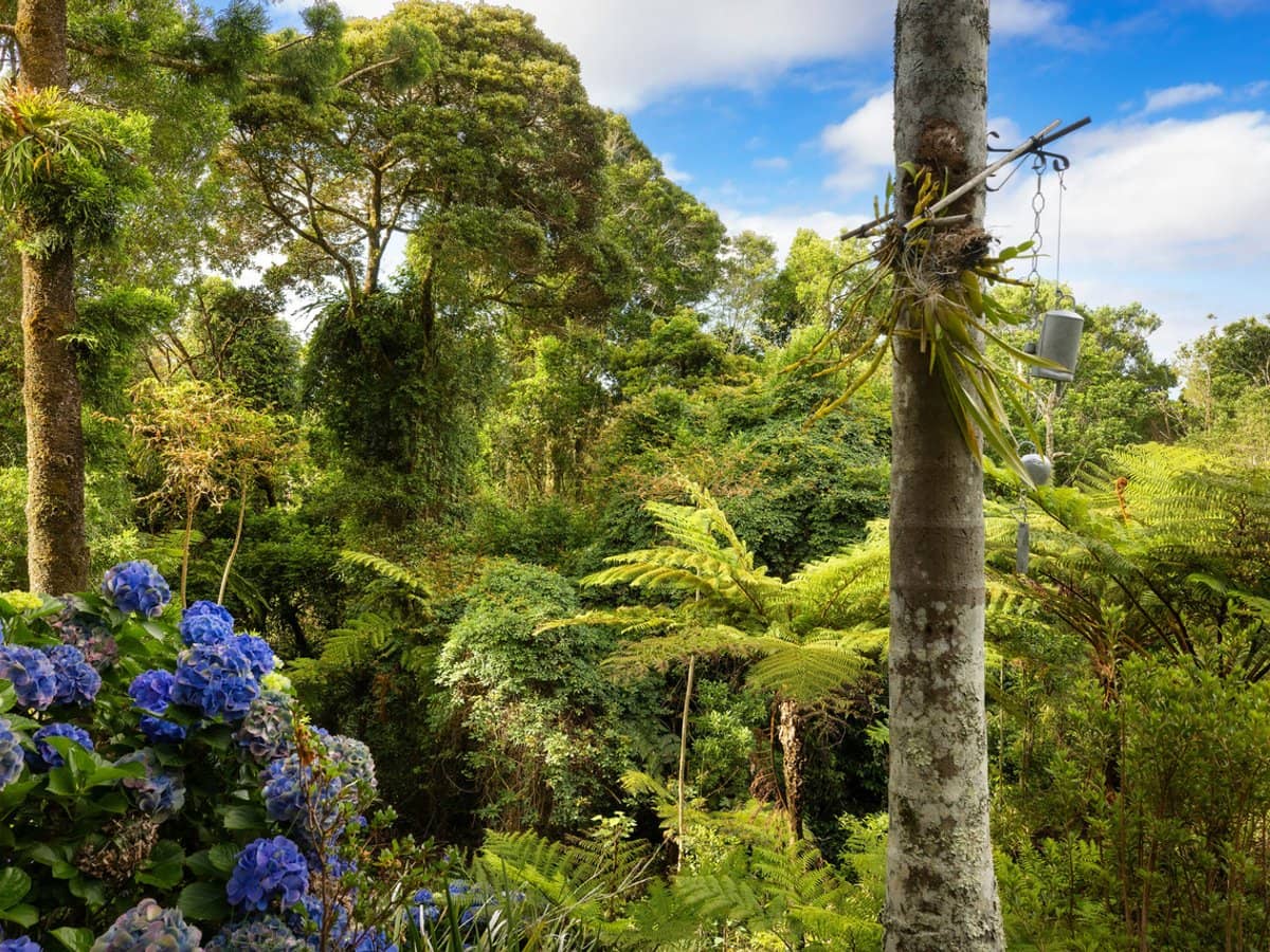 162 Repeater Station Road, SPRINGBROOK - Thumbnail 31