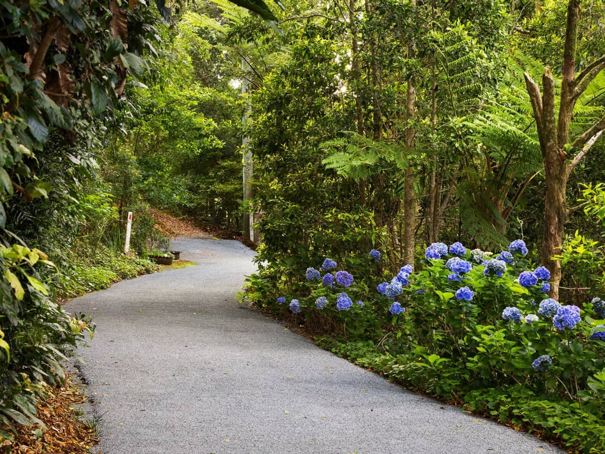 162 Repeater Station Road, SPRINGBROOK - Thumbnail 16