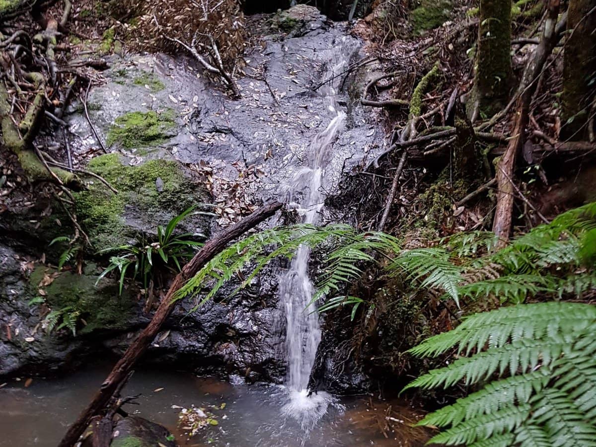 162 Repeater Station Road, SPRINGBROOK - Thumbnail 28