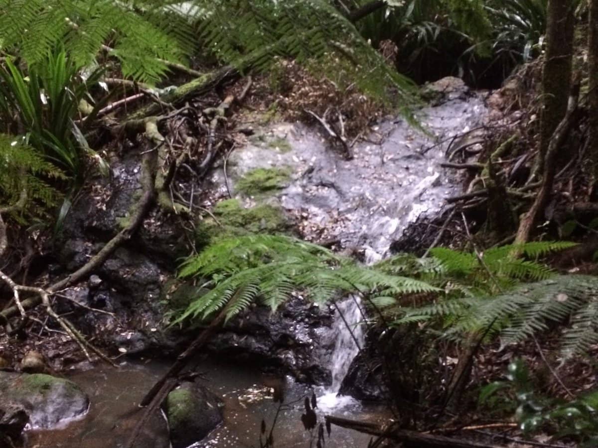 162 Repeater Station Road, SPRINGBROOK - Thumbnail 31