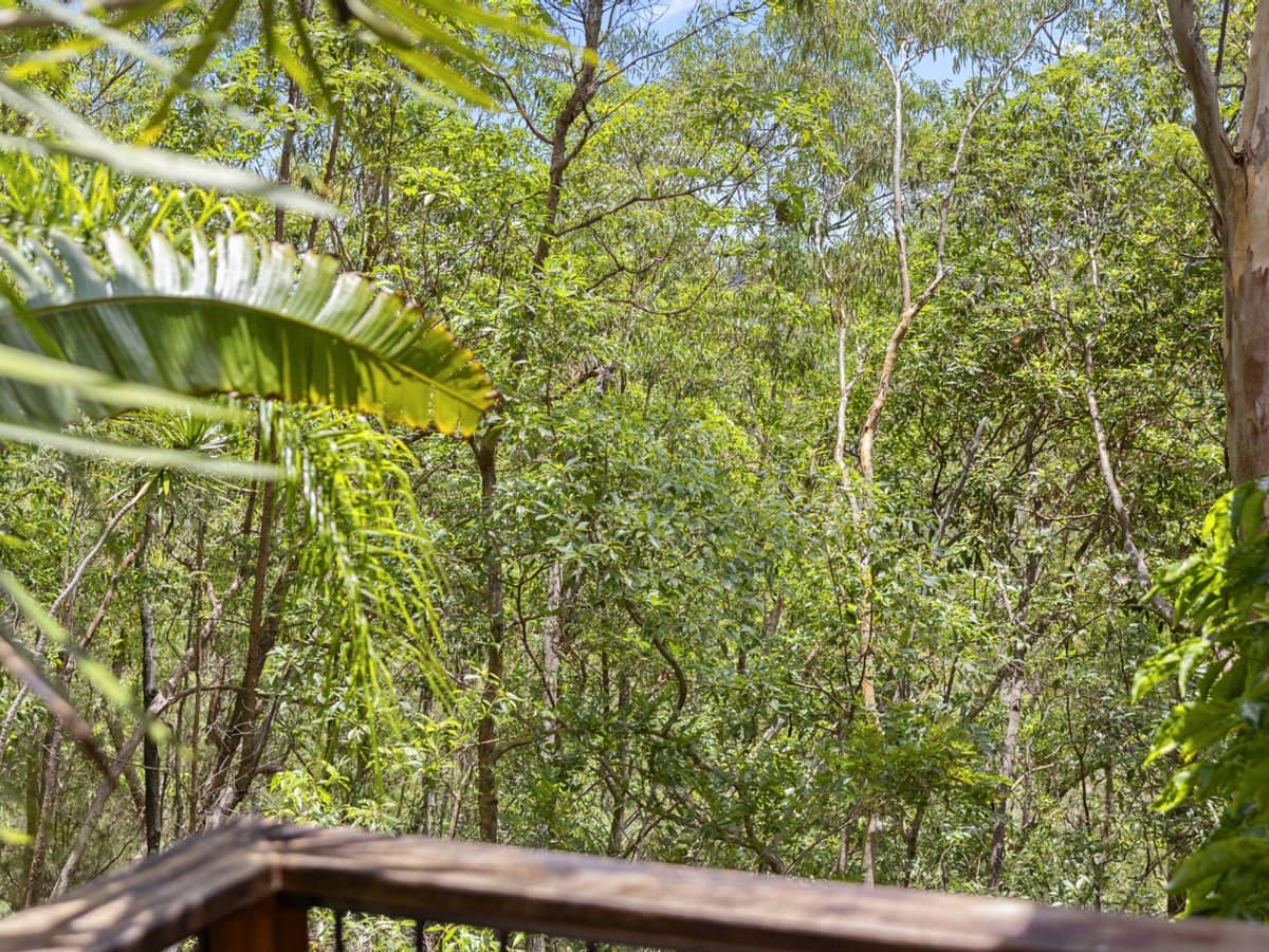 75 Carrington Road, BONOGIN - Thumbnail 25