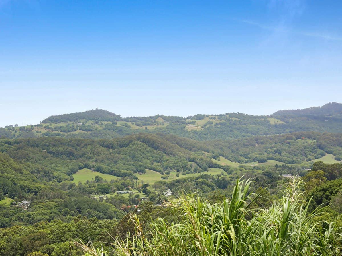 525 Trees Road, Tallebudgera - Thumbnail 18