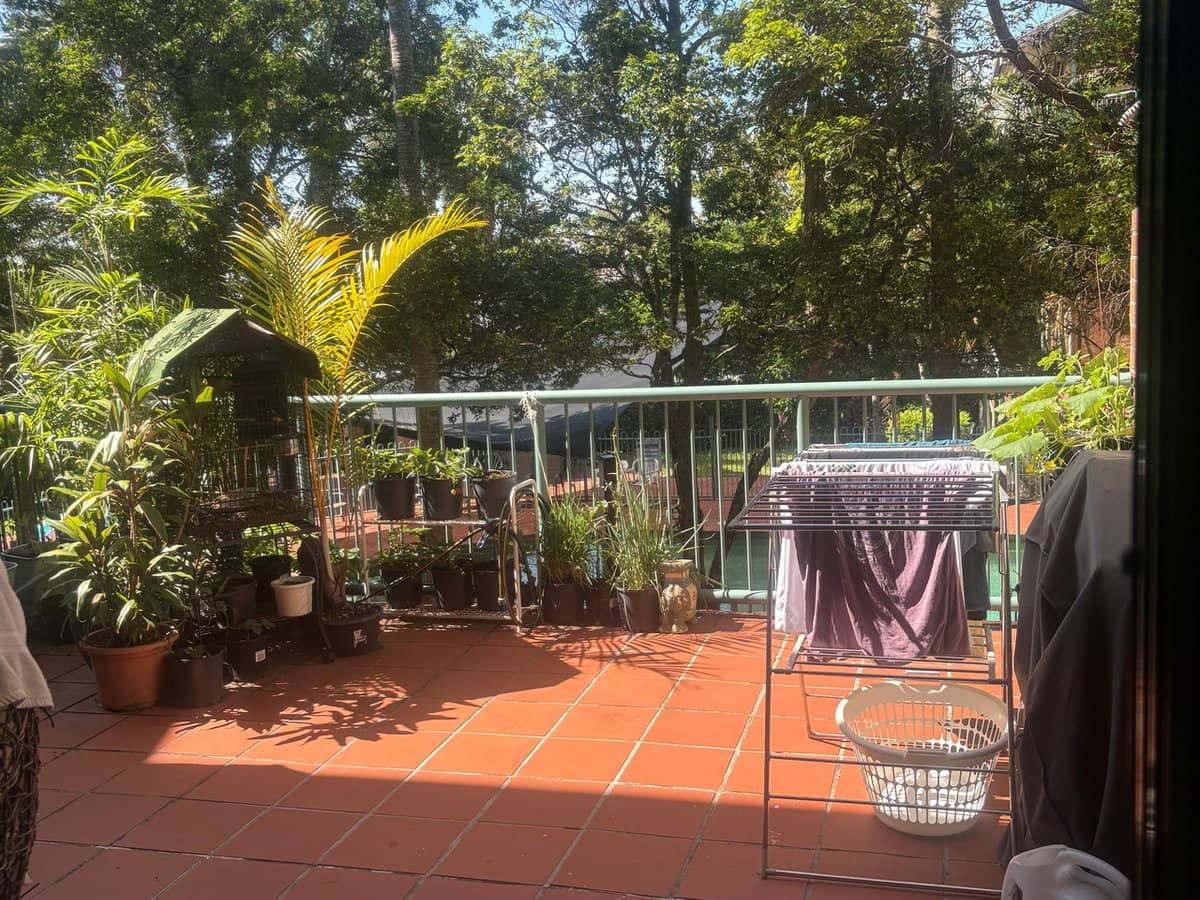 45 Pohlman Street, SOUTHPORT - Thumbnail 14