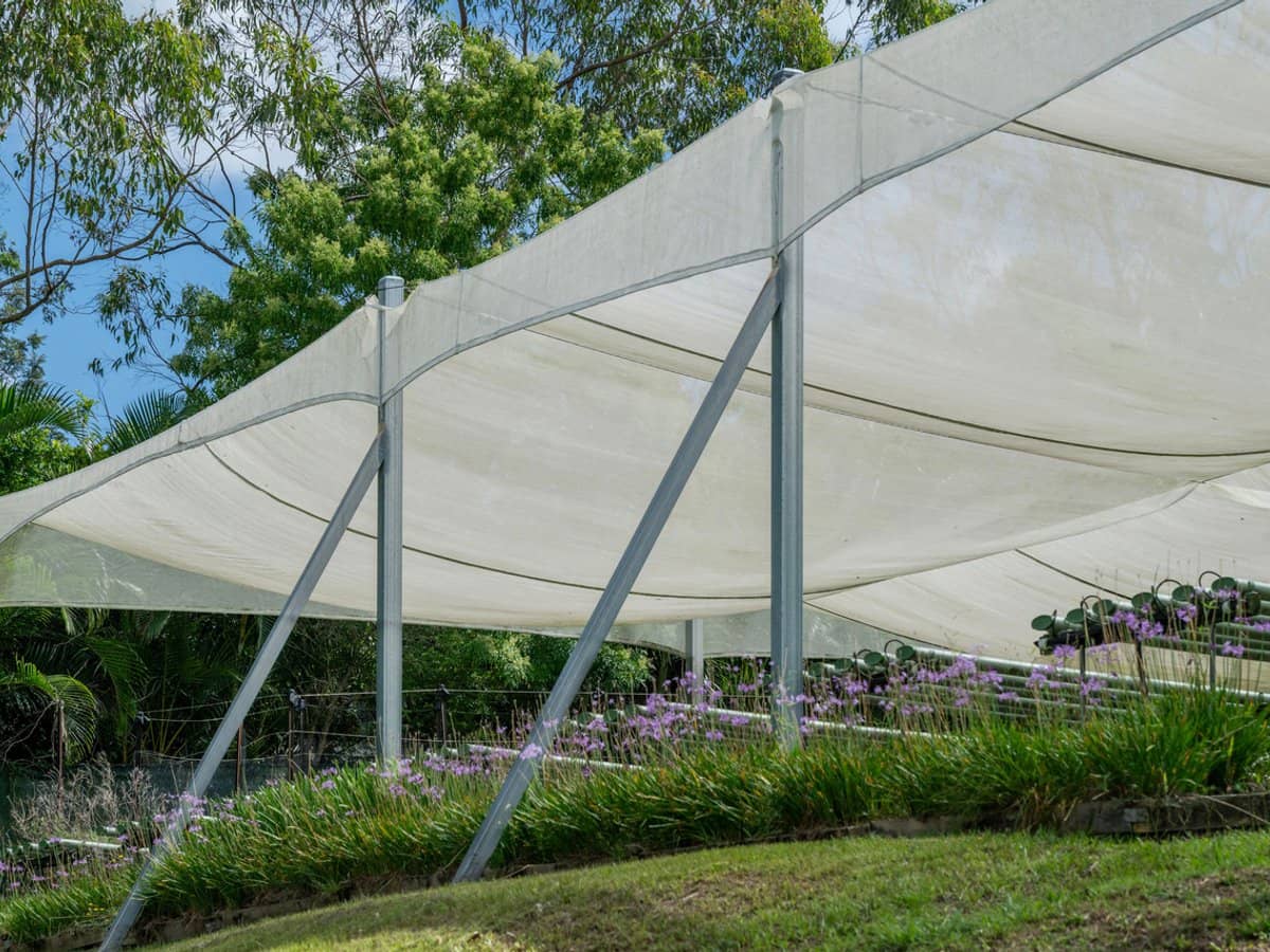 44 Glen Nathan Court, Mount Nathan - Thumbnail 3