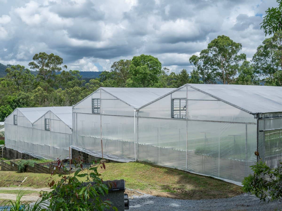 44 Glen Nathan Court, Mount Nathan - Thumbnail 6