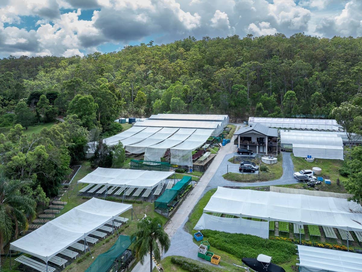 44 Glen Nathan Court, Mount Nathan - Thumbnail 7