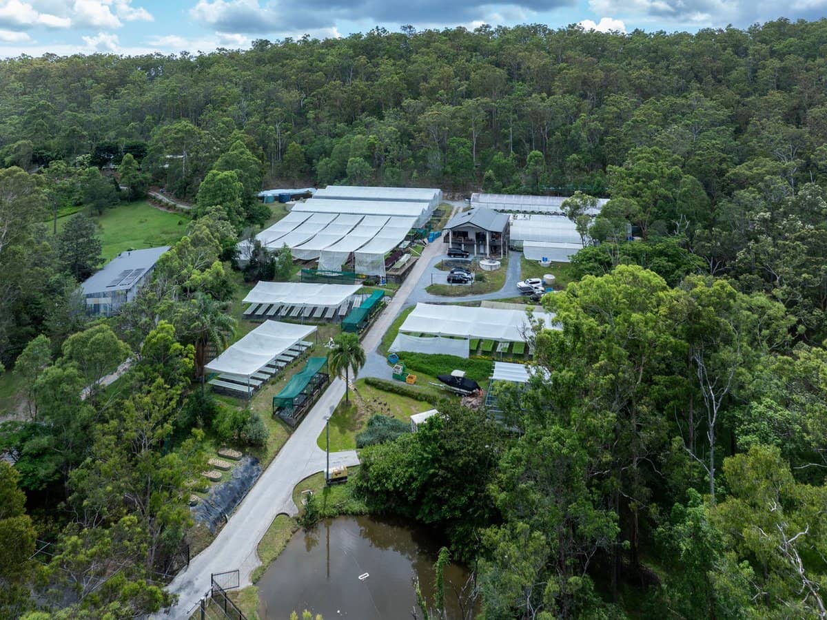 44 Glen Nathan Court, Mount Nathan - Thumbnail 8