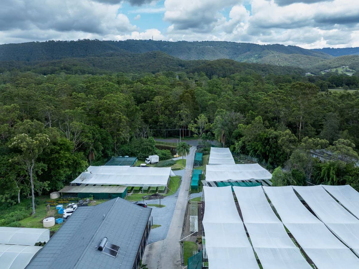 44 Glen Nathan Court, Mount Nathan - Thumbnail 11