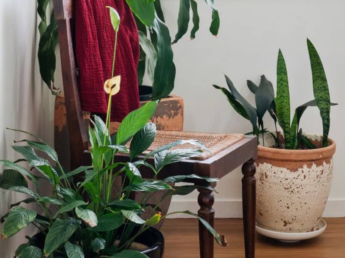 60-78 Whitby Street, SOUTHPORT - Thumbnail 5