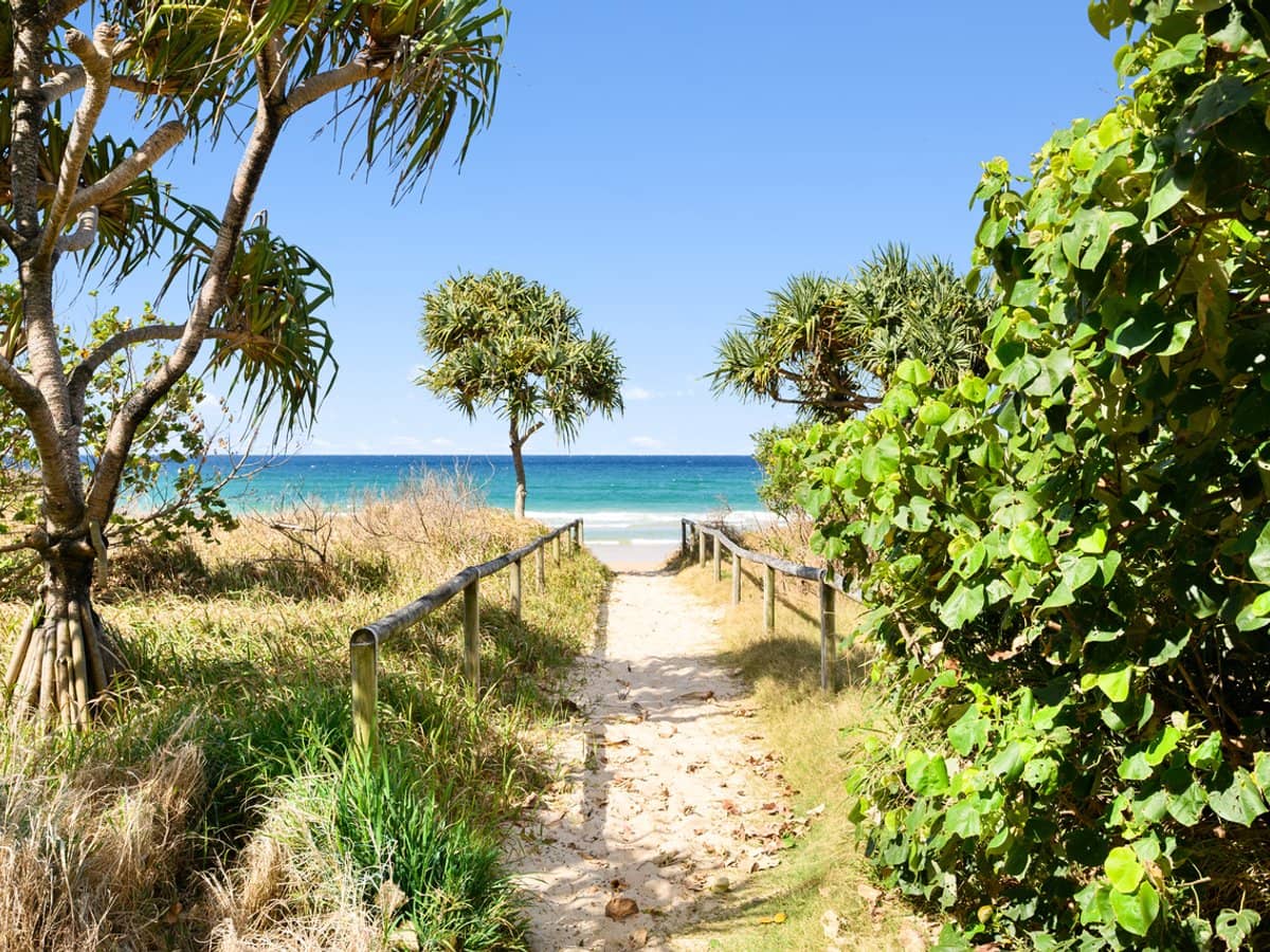 1483 - 1489 Gold Coast Highway, PALM BEACH - Thumbnail 15